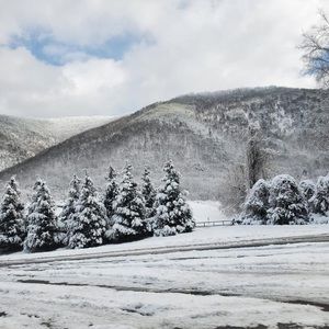 Meet your Posher, Anjali